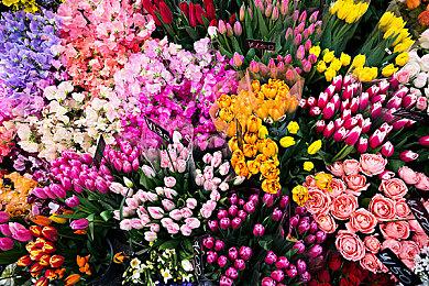 《黏液》最近更新添加了简体中文 Steam版Q2发售